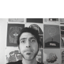 Sebastian Gallardo