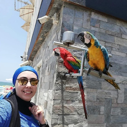 Heba Nassef