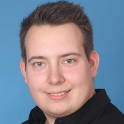 Niklas Bienert's profile picture