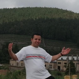 Prof. Reda Ali