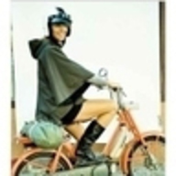 Ivonne Hansel's profile picture