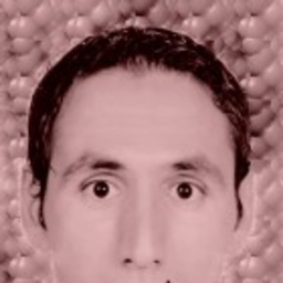 Selmi Hichem