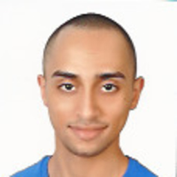 Mohamed Hassan Fathy Mahmoud
