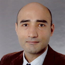 Ing. Ramin Zohouri