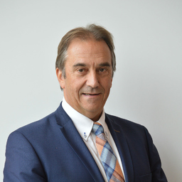 Ing. Patrick Van Lijsebetten