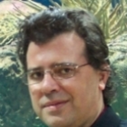 Carlos Egea García