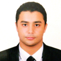 Ahmed Elsamadony