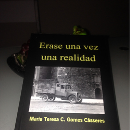 Maria Teresa Cuesta Gomes Casseres