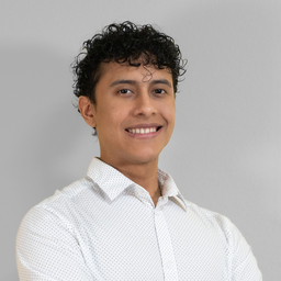 Luis Alejandro Perez Ruiz