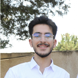Zain Alabdin Salameh