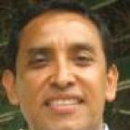 Gary Young Toro