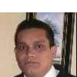 Carlos Alberto Llerena Torres
