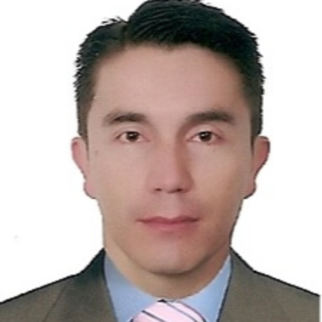 Prof. Hernan Molina Business Intelligence Analyst Manawanui Support