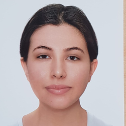 Ayça Ercan