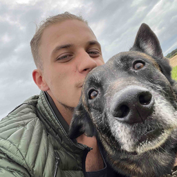 Vincent Mock's profile picture