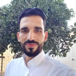 Rafik Safi