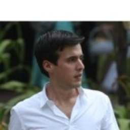Luis Sansivirini
