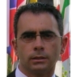 Rocco Cardillo