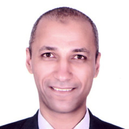 Ing. walid sayed