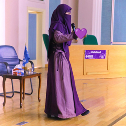 سوار أعيده