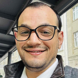 Wadie M hamdi