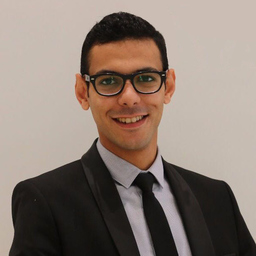 Ing. Karim Al-Gabarty