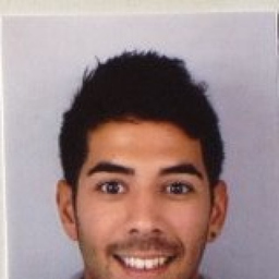 Rafael Junqueira Fernandes