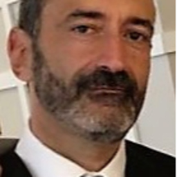 Marcello Colona's profile picture