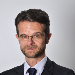Ing. frederic DENIS