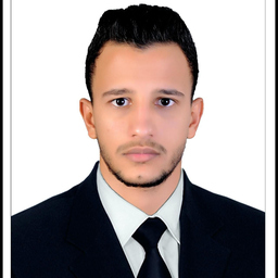 Abdelhady Mohamed