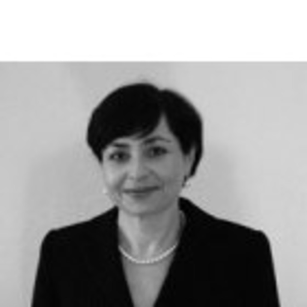 Ellen Leznik Founding Partner Virtual Law Partners, LLP XING