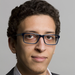 Akram Mimouni