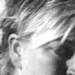 Andrea Vehlken