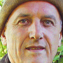 Johannes Krusche