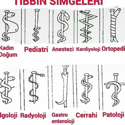 Sevinç Güngör