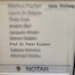 Prof. Dr. Peter Küsters