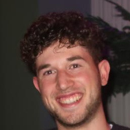 Karim Moafy