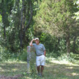 Joe Campisi