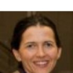 Solveig Haupt's profile picture