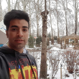 Mohsen Alamgir