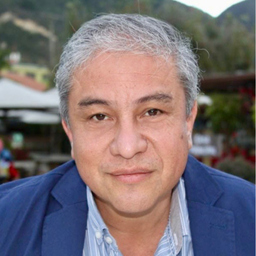 Ing. Luis Iván González Santiago