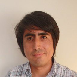 Patricio Salinas