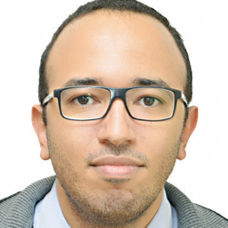 Ing. Salah-eddine ELMACHKOURY