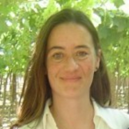 BEGOÑA IRANZO LOPEZ
