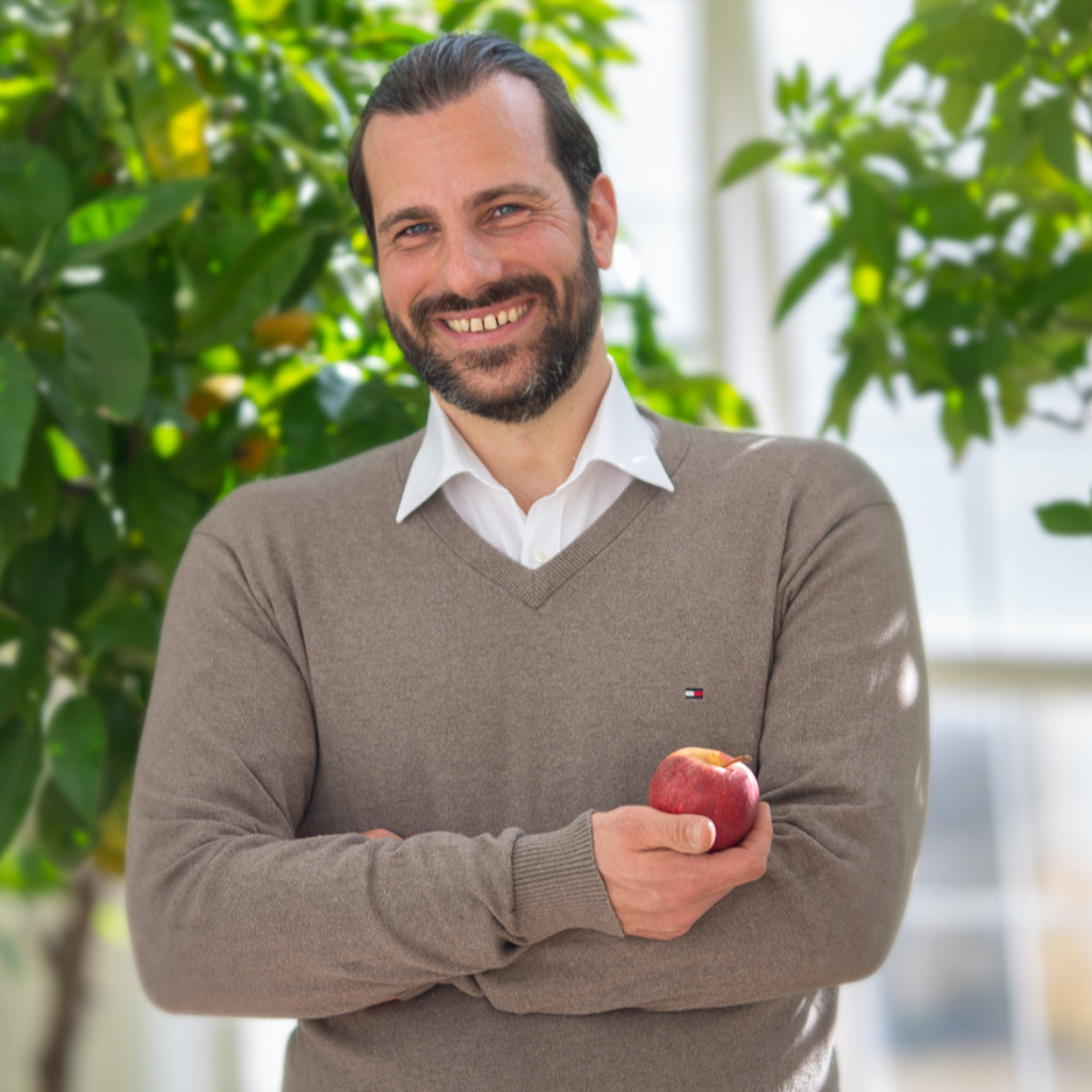 Markus Holub Dozent IU Internationale Hochschule XING