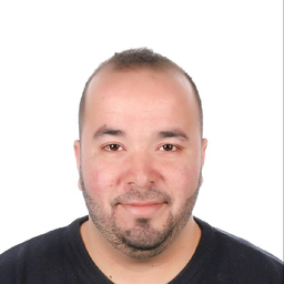 haykel mdemegh