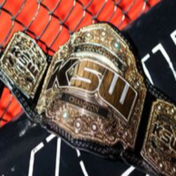 mma belts