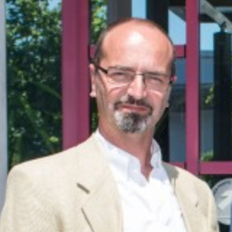 Werner Bötschi's profile picture