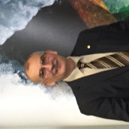 IULIAN MIRON