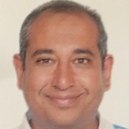 Mohamed Alsharkawy